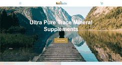 Desktop Screenshot of nutrinoche.com